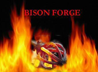 Bison Group logo